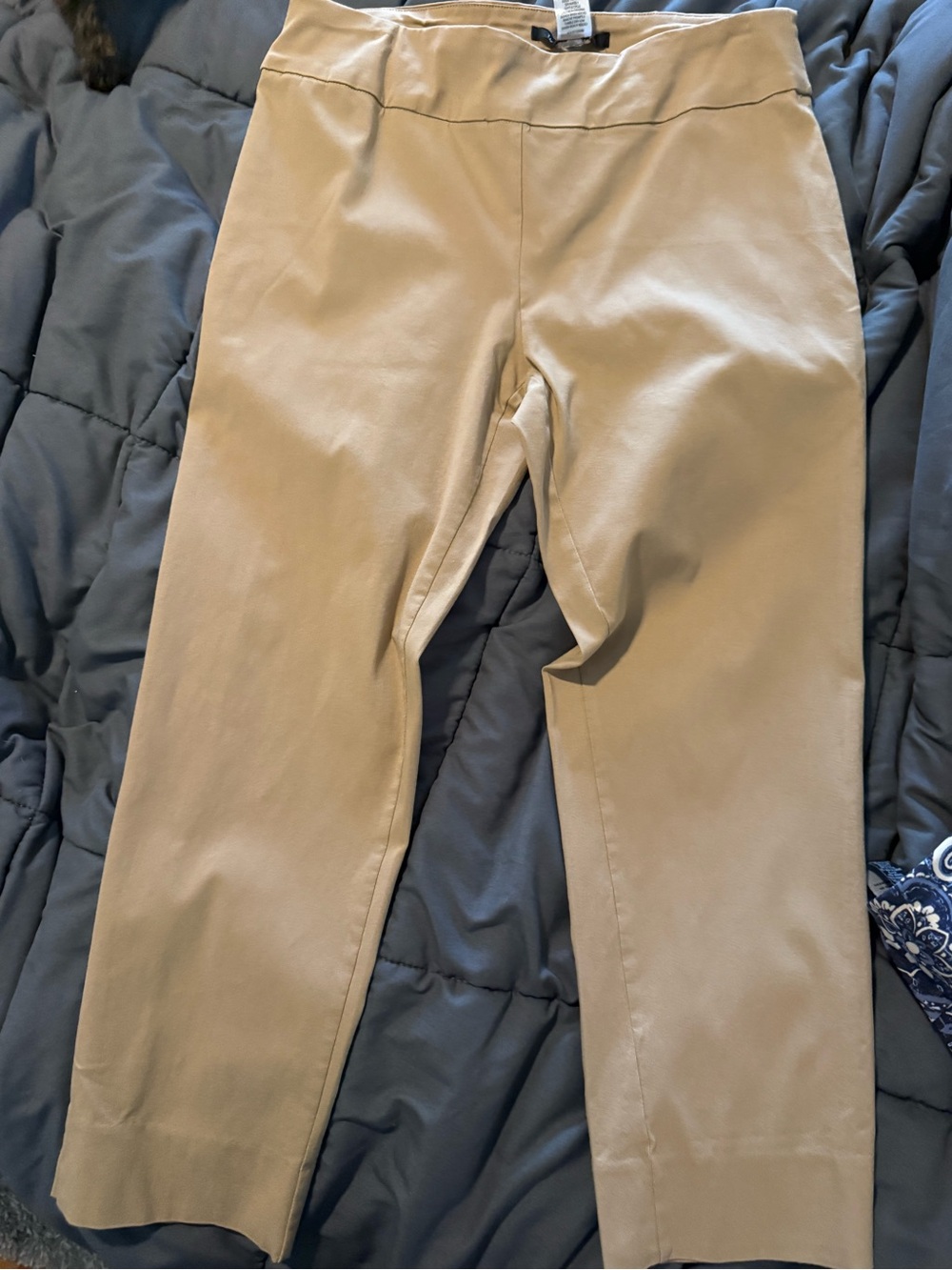 Zac & Rachel Tan Pull-On Casual Pants